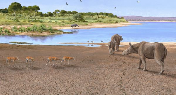 Lg early oligocene 80x60   faune 300dpi cor v2