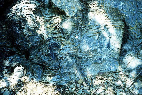 Stramatolite, 3 500 Ma, traces de formes de vie très anciennes vivant en colonies fixées. 