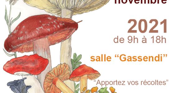 Lg affiche salon du champignon 2021   20 et 21 novembre