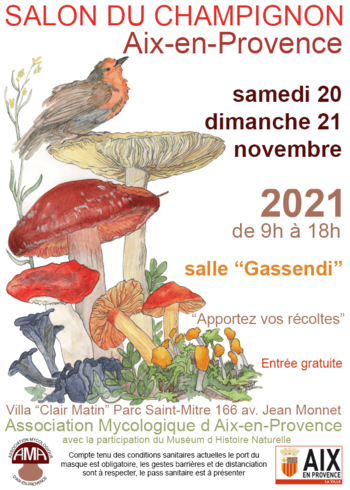 Xl affiche salon du champignon 2021   20 et 21 novembre