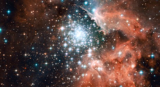 Lg the massive compact star cluster in ngc 3603 and its surroundings